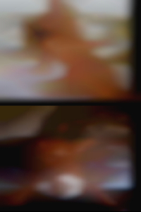 horny sluts in Raleigh horny sluts in Raleigh