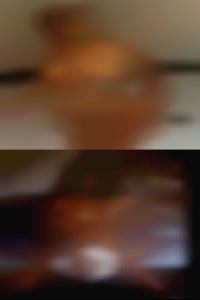 horny wives Raleigh NC horny wives Raleigh NC